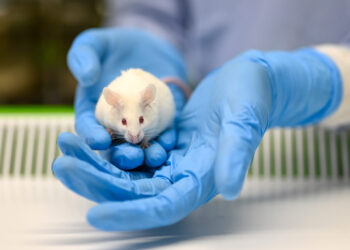 Animal Research Saves Human Lives