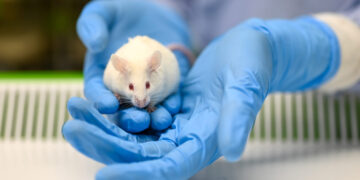 Animal Research Saves Human Lives