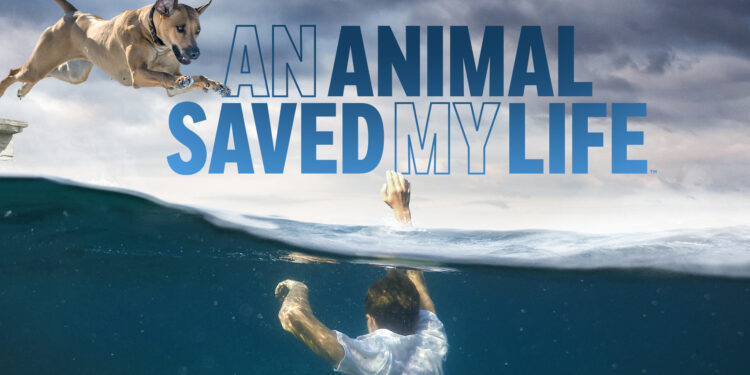 Viral Animal Saves Owner’s Life