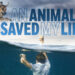 Viral Animal Saves Owner’s Life