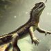 Future Animal Without Pain Discovered