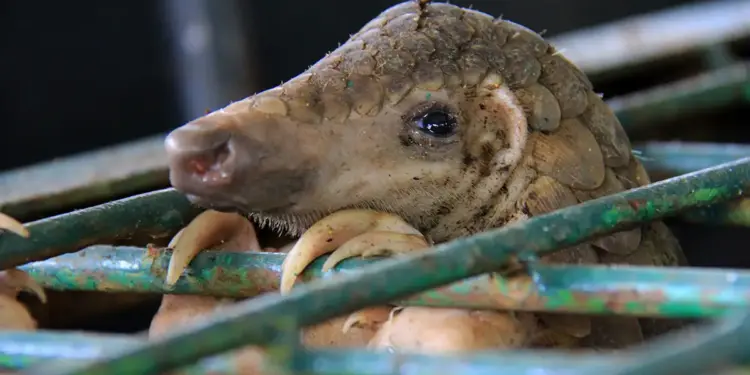 Shocking Research Reveals Animal Truths