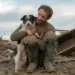 Animal Crisis Becomes Global Emergency