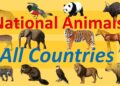 Every Country’s Universal Animal Mystery