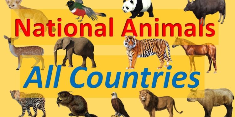 Every Country’s Universal Animal Mystery