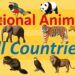 Every Country’s Universal Animal Mystery